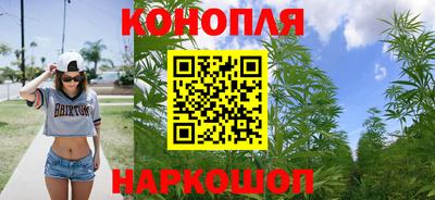 сатива Анапа